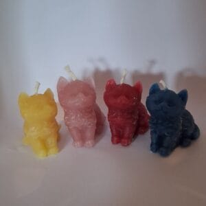 Handgemaakt kattenkaarsje voorbeeld 1