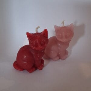Handgemaakt kattenkaarsje voorbeeld 2